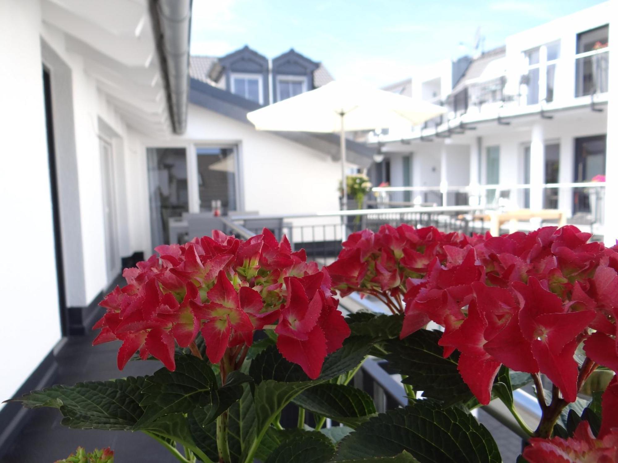 Ferienapartments Am Steinfelder Hof Apartment Bad Neuenahr-Ahrweiler